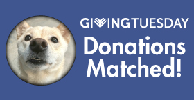Donations matched for Giving Tuesday!